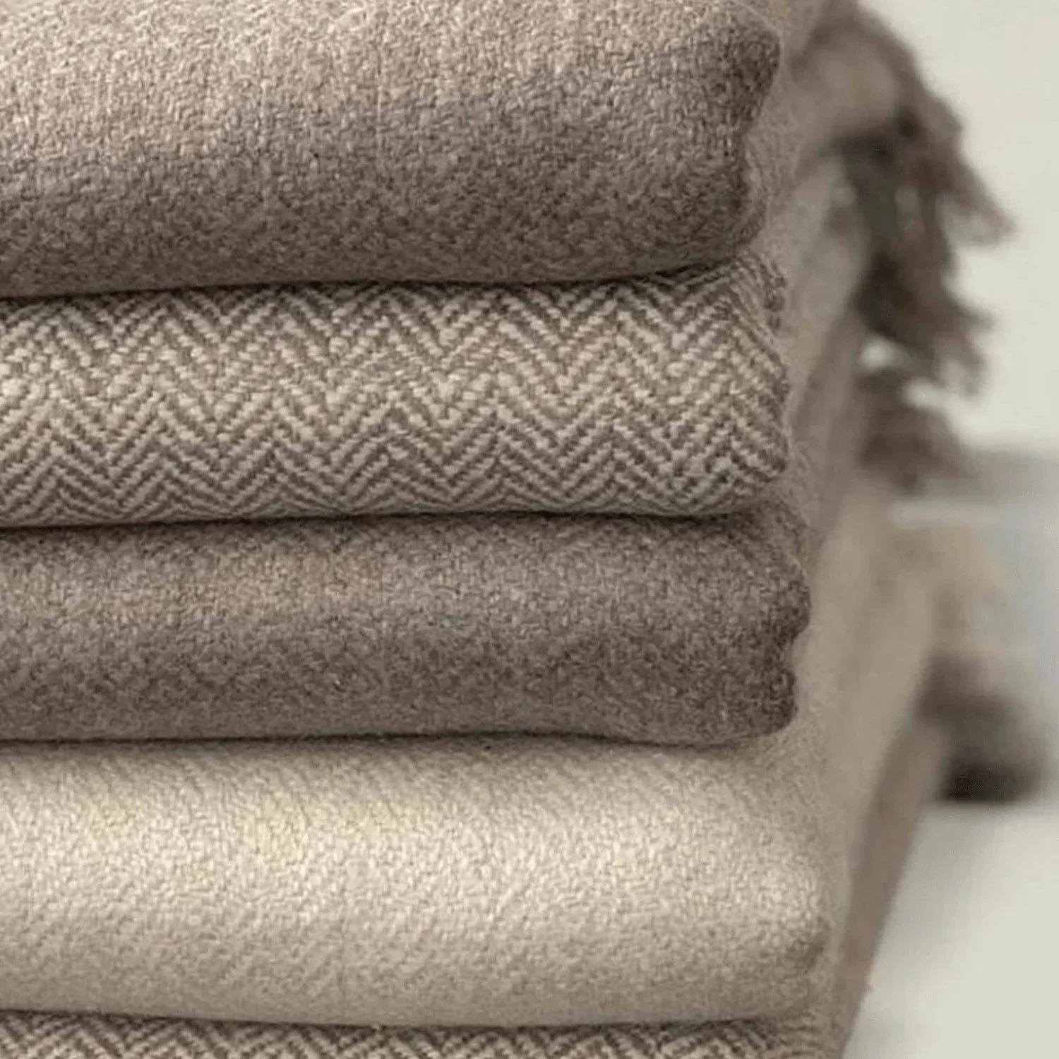 EDIT Ø1N - PURE PASHMINA NATURAL SERIES