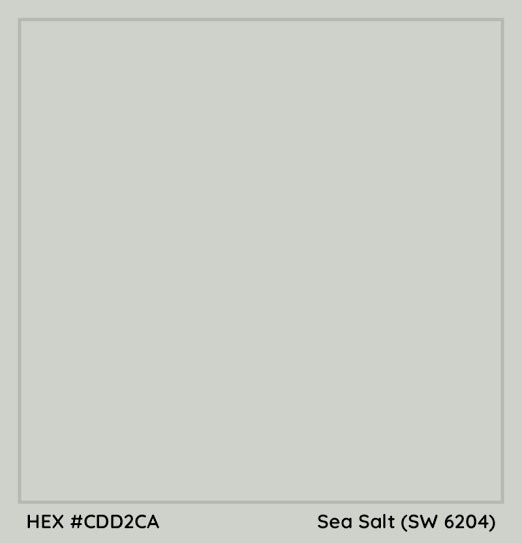 SEASALT - 1000 THREAD COUNT COTTON BEDSHEET